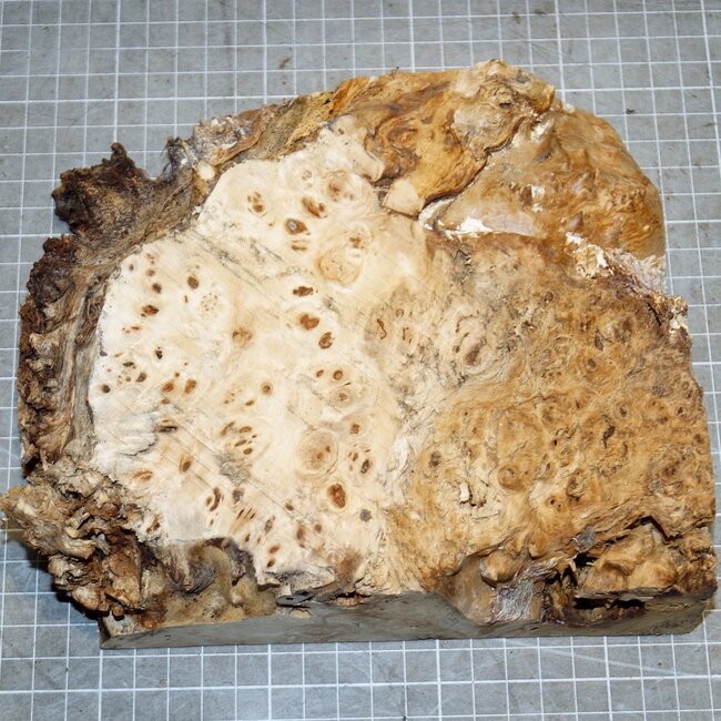 Pappel Maser, ca. 200 x 170 x 52mm, 0,7kg