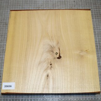 Robinie, ca. 300 x 300 x 48mm, 3,3kg