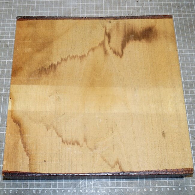 Robinia, approx. 300 x 300 x 48mm, 3,3kg