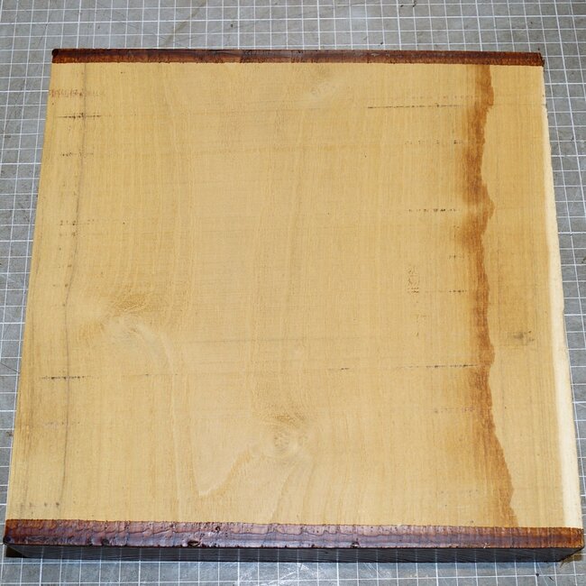 Robinie, ca. 270 x 265 x 50mm, 2,7kg