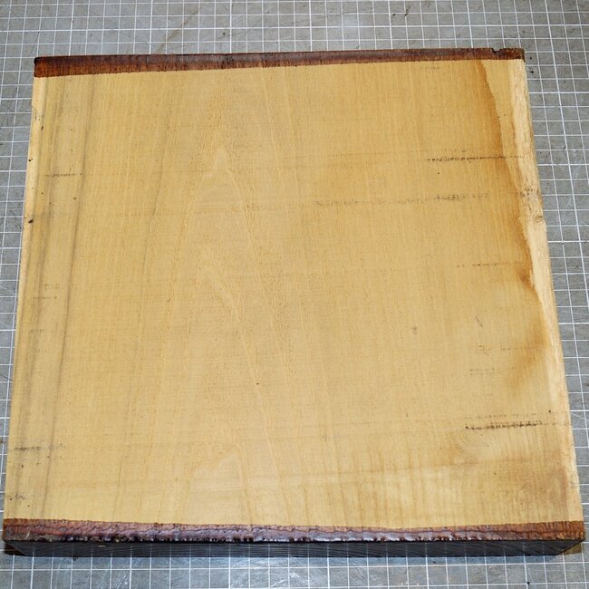 Robinia, approx. 270 x 265 x 50mm, 2,7kg