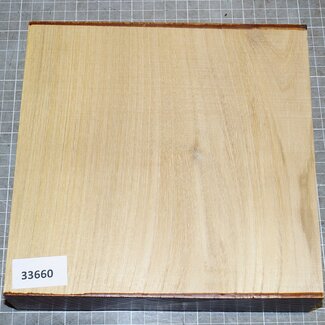 Robinie, ca. 220 x 220 x 50mm, 1,8kg