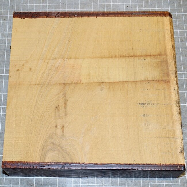Robinia, approx. 220 x 220 x 50mm, 1,8kg
