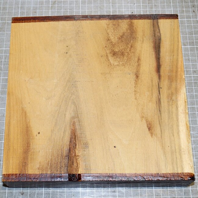 Robinie, ca. 240 x 240 x 50mm, 2,1kg