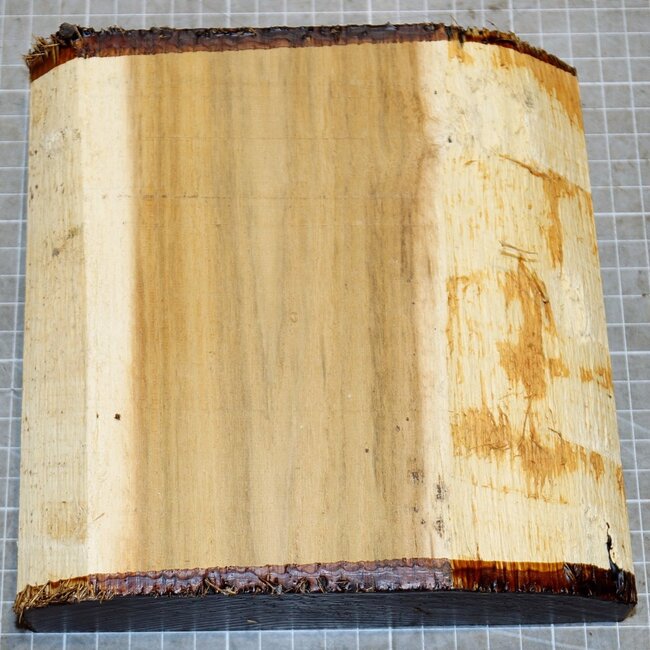 Robinia, approx. 180 x 180 x 51mm, 1,2kg