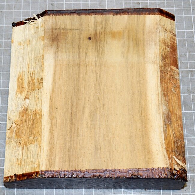 Robinie, ca. 180 x 175 x 51mm, 1,1kg