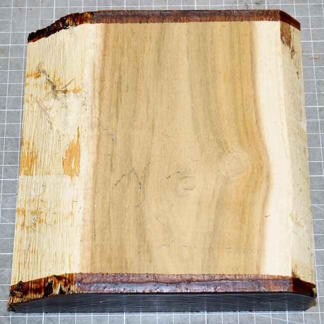 Robinia, approx. 180 x 175 x 51mm, 1,1kg