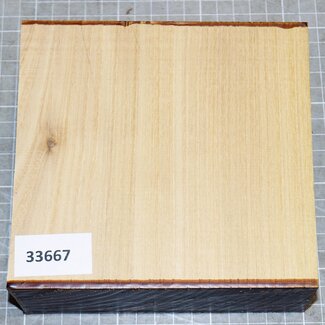 Robinie, ca. 150 x 150 x 50mm, 0,8kg