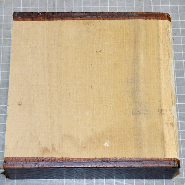 Robinia, approx. 160 x 160 x 50mm, 1,0kg