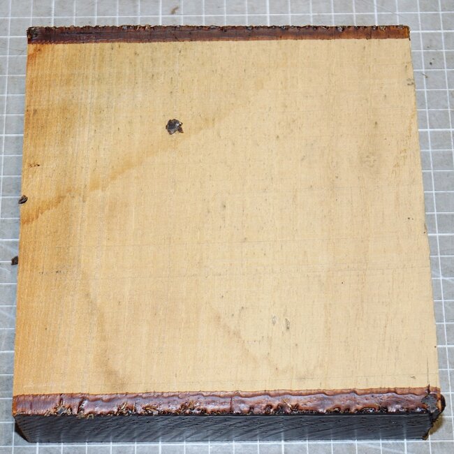 Robinia, approx. 160 x 160 x 50mm, 0,9kg