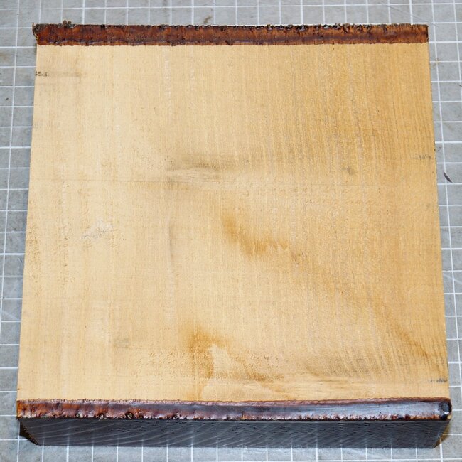 Robinia, approx. 160 x 155 x 50mm, 1,0kg
