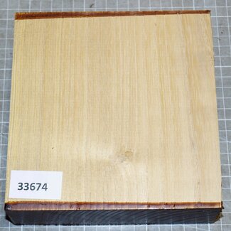 Robinie, ca. 160 x 160 x 50mm, 0,9kg