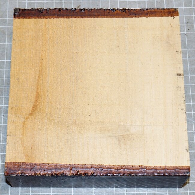 Robinie, ca. 160 x 160 x 50mm, 0,9kg