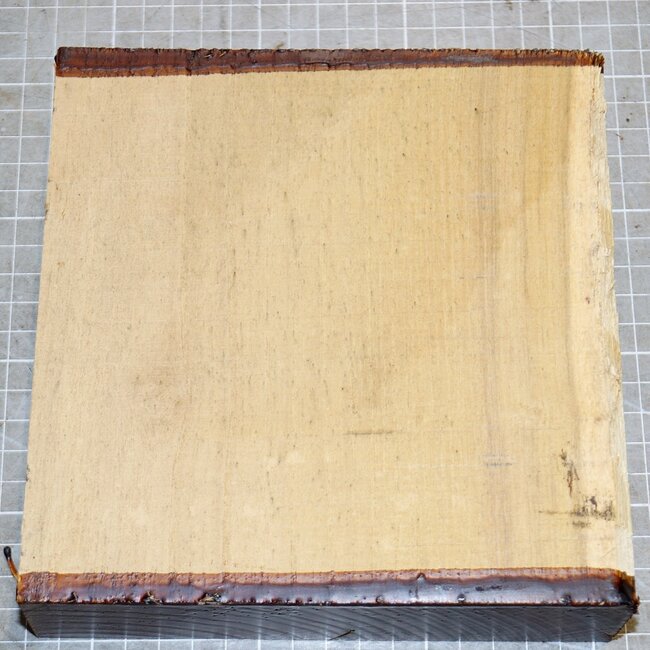 Robinia, approx. 170 x 170 x 50mm, 1,1kg