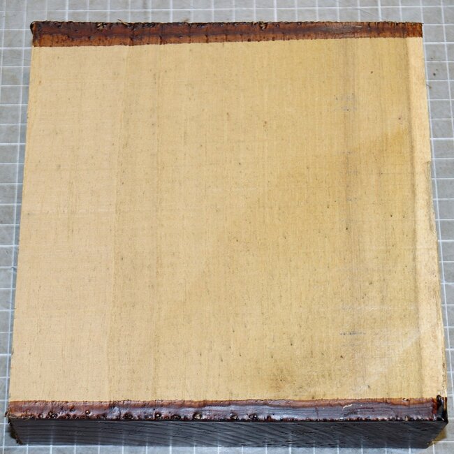 Robinie, ca. 170 x 165 x 50mm, 1,1kg