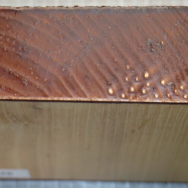 Robinie, ca. 170 x 165 x 50mm, 1,1kg