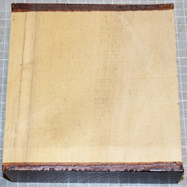 Robinie, ca. 170 x 165 x 51mm, 1,1kg