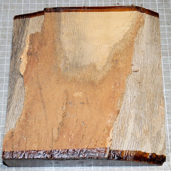 Cork Oak, approx. 200 x 200 x 52mm, 1,4kg