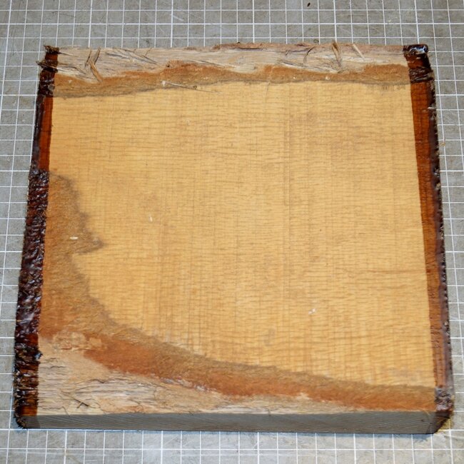 Korkeiche, ca. 210 x 205 x 50mm, 1,9kg