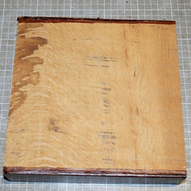 Korkeiche, ca. 210 x 210 x 46mm, 2,0kg