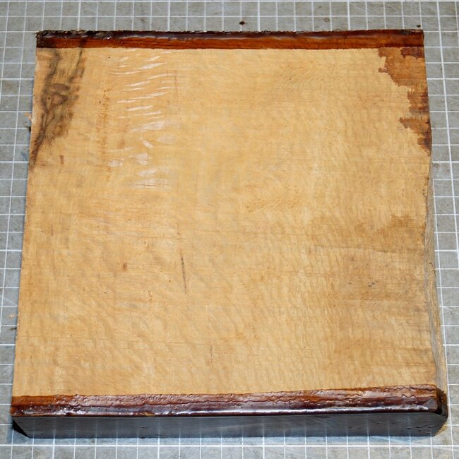 Korkeiche, ca. 190 x 190 x 46mm, 1,7kg