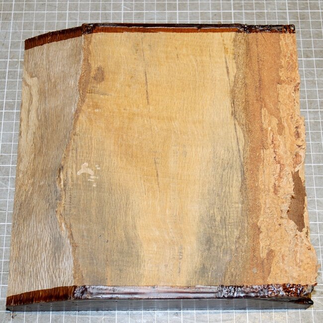 Korkeiche, ca. 220 x 220 x 50mm, 1,8kg