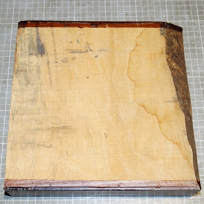 Korkeiche, ca. 240 x 240 x 50mm, 2,2kg