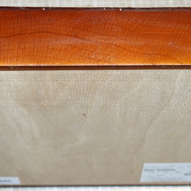 Korkeiche, ca. 240 x 240 x 50mm, 2,2kg