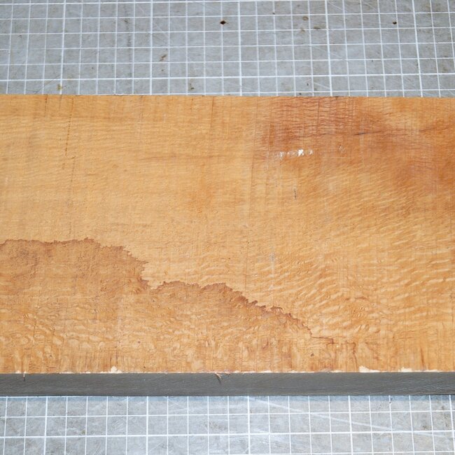 Korkeiche, ca. 300 x 140 x 45mm, 1,8kg