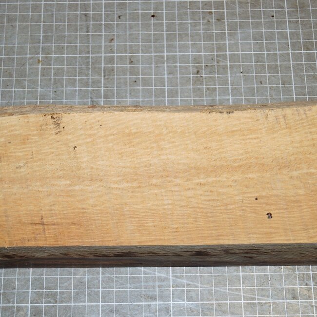 Korkeiche, ca. 300 x 115 x 40mm, 1,5kg