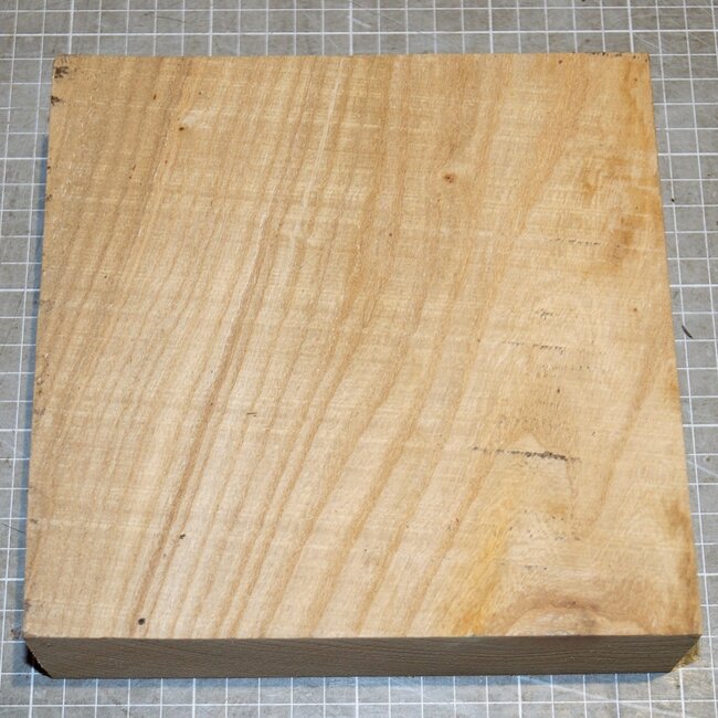 Caucasian Elm, approx. 185 x 185 x 55mm, 1,1kg
