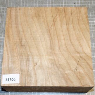Caucasian Elm, approx. 205 x 205 x 78mm, 2,1kg