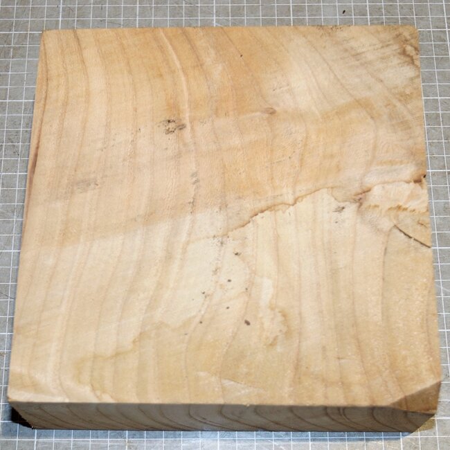 Kaukasische Rüster, ca. 205 x 205 x 78mm, 2,1kg