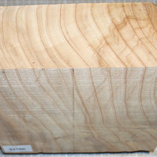 Caucasian Elm, approx. 205 x 205 x 78mm, 2,1kg