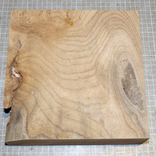 Caucasian Elm, approx. 230 x 220 x 62mm, 2,0kg