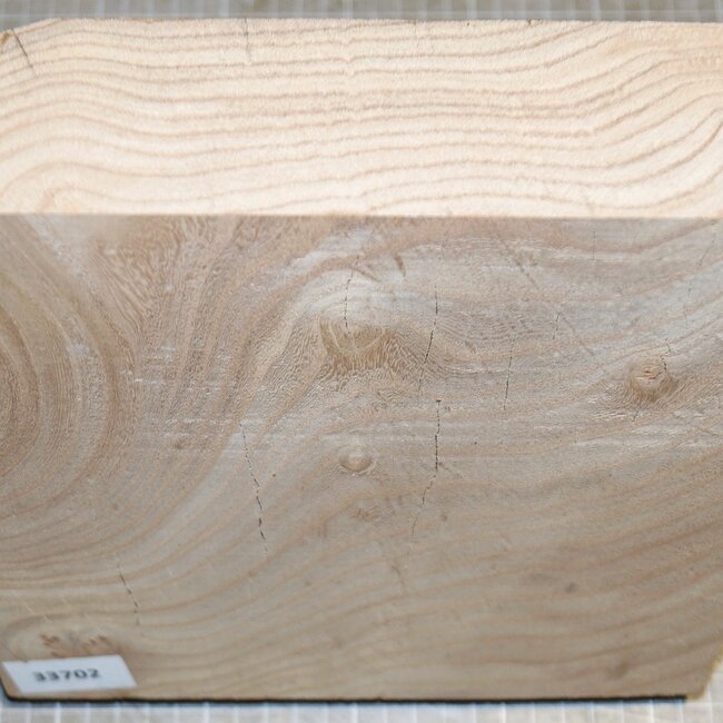 Kaukasische Rüster, ca. 230 x 220 x 62mm, 2,0kg