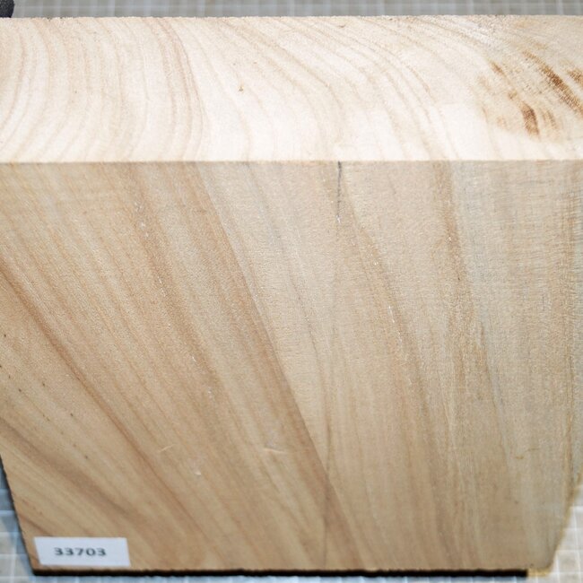 Caucasian Elm, approx. 220 x 220 x 78mm, 1,8kg
