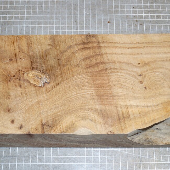 Caucasian Elm, approx. 300 x 145 x 67mm, 2,2kg