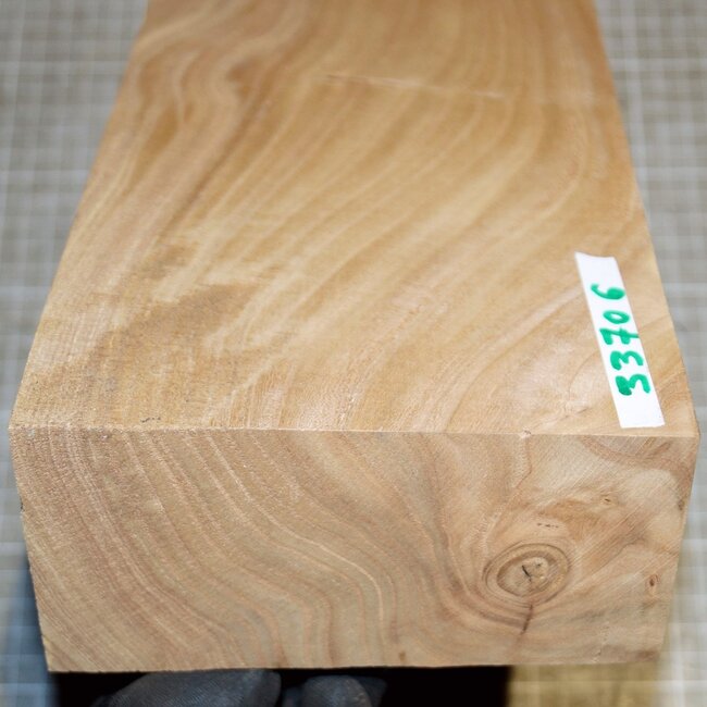 Caucasian Elm, approx. 300 x 145 x 67mm, 2,2kg
