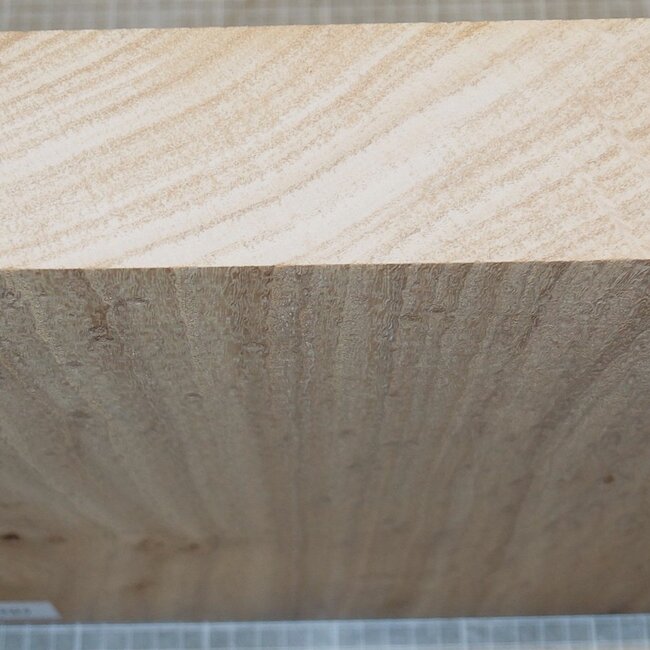 Caucasian Elm, approx. 305 x 300 x 65mm, 3,5kg