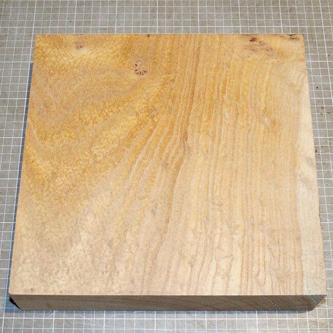 Kaukasische Rüster, ca. 285 x 280 x 65mm, 3,0kg