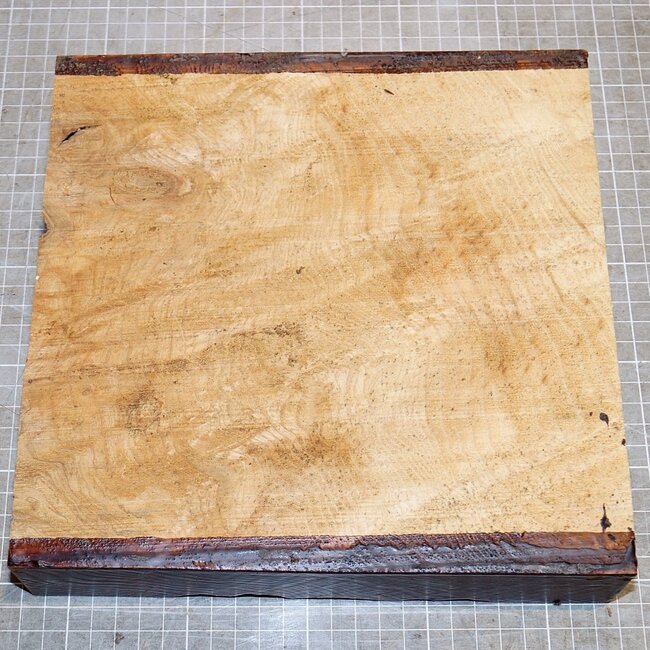 Esche, Maser, ca. 240 x 240 x 50mm, 2,1kg