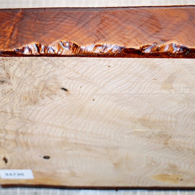 Esche, Maser, ca. 240 x 240 x 50mm, 2,1kg