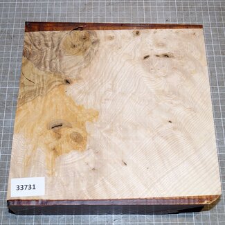 Ash, burl, approx. 240 x 240 x 63mm, 2,4kg