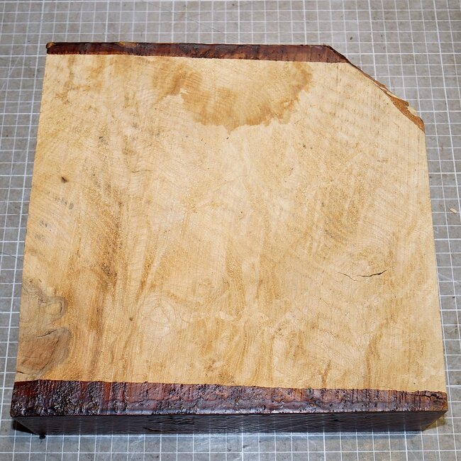 Ash, burl, approx. 240 x 240 x 63mm, 2,4kg