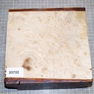 Esche, Maser, ca. 190 x 190 x 62mm, 1,5kg