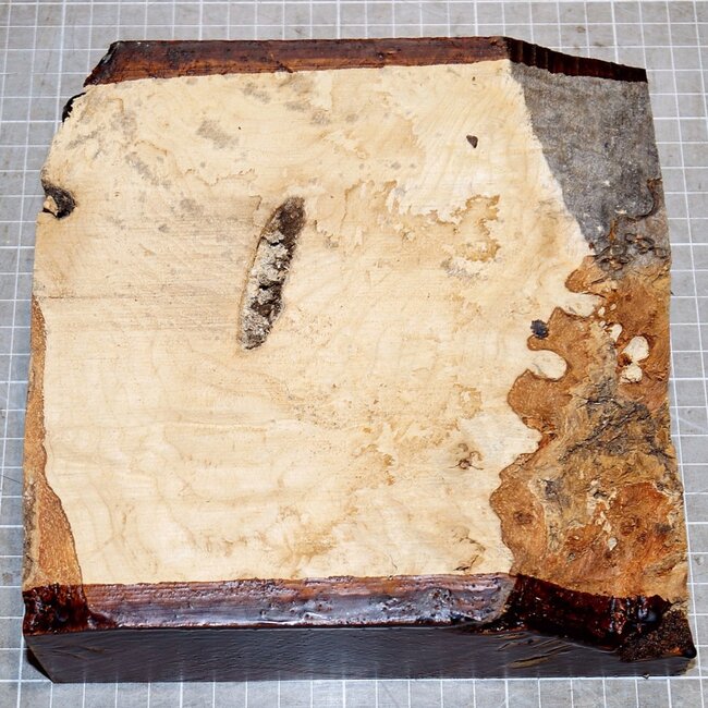 Esche, Maser, ca. 190 x 190 x 62mm, 1,5kg