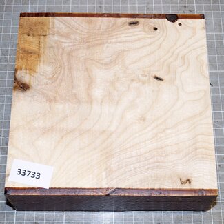 Ash, burl, approx. 190 x 190 x 63mm, 1,5kg