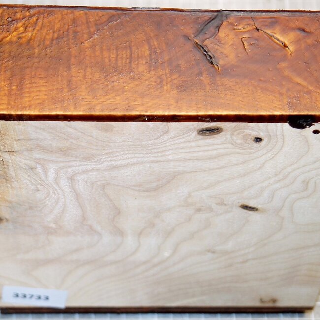 Ash, burl, approx. 190 x 190 x 63mm, 1,5kg