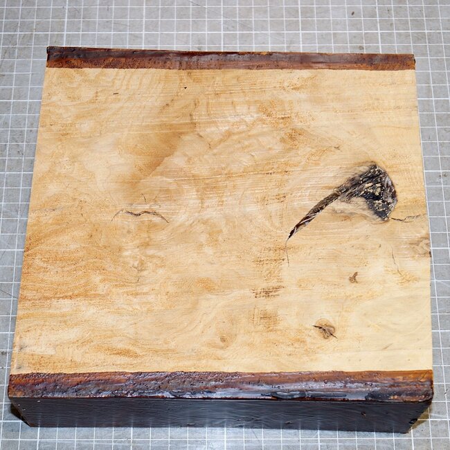 Ash, burl, approx. 200 x 195 x 62mm, 2,0kg